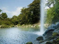 Le cascate di Misol-Ha, nei pressi di Palenque (Chiapas), sono spettacolari: dopo il salto di 40 metri danno luogo a una limpida piscina naturale, in cui si può nuotare nel cuore della ...