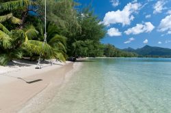 Spiagga bianca a Kho Chang, nel mare cristallino della Thailandia - © Padsaworn / Shutterstock.com