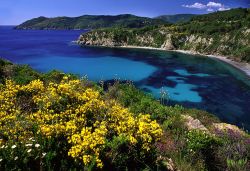 Una fotografia dall'alto di spiaggia Acquarilli, una delle più belle e tranquille sull'Isola d'Elba - © Roberto Ridi