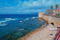 Una spiaggia di Alghero (prov. di Sassari, Sardegna) orlata dalle antiche mura del centro storico: le prime fortificazioni genovesi risalgono al XIII secolo, ma la maggior parte dei resti che ...