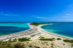 Spiaggia a Dry Tortugas, Key West - A circa 70 miglia ovest di Key West si trovano il suggestivo parco nazionale Dry Tortugas e la fortezza costiera Jefferson raggiungibili solo a bordo di barche ...