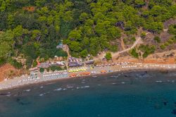 Šunj (Sunj) è la spiaggia sabbiosa più famosa di Lopud una delle tre isole Elafiti del sud della Dalmazi, in Croazia vicino a Dubrovnik - © OPIS Zagreb / Shutterstock.com ...