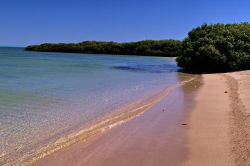 Spiaggia Mangrove bay Cape Range National Park ...