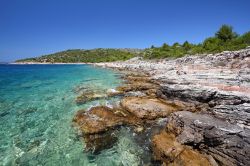 Una spiaggia di Murter, l'isola della Dalmazia (Croazia). Murter si trova non distante dalla costa quindi in posizione piuttosto interna. Il suo clima è mediamente più umido ...