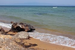 La Spiaggia di Nea Potidea sulla Penisola Calcidica, vicino a Kassandra in Grecia