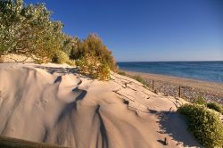 Spiaggia Nigaloo Reef Exmouth Australia