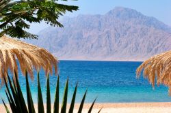 Spiaggia di Nuweiba, siamo nel Golfo di Aqaba, nela Mar Rosso, in Egitto lungo la penisola del Sinai - © Beneda Miroslav / Shutterstock.com