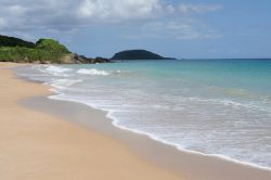 Spiaggia di  Pointe Allegre sull'isola di Guadalupa (Guadeloupe). Questo mare cristallino si trova sull'estremità nord della Basse Terre, la zona più occidentale e ...