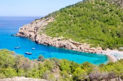 Spiaggia di Port de Benirras, una delle tante spettacolari cale di Ibiza, arcipelago delle isole Baleari in Spagna - © holbox / Shutterstock.com