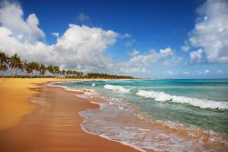 La spiaggia di Punta Cana è caratterizzata da magnifiche sabbie dorate, ed è bordata da un mare caldo, dalle tinte di colore turchese-smeraldo. E' considerata uno degli arenili ...