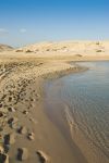 Una spiaggia del Sinai: si trova a Ras Mohammed, la pensiola che si protende nel Mar Rosso, vicino a Sharm el Sheik in Egitto - © Anna segeren / Shutterstock.com