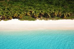 Le sabbie bainche di una spiaggia di Tortola, una splendida laguna, ideale per snorkeling, alle Isole Vergini Britanniche, Caraibi settentrionali - © Benington / Shutterstock.com