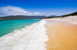 La grande e dorata spiaggia di Wineglass Bay, ...