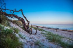 Spiaggia a Graal Muritz  (Germania) poco prima del tramonto - © Axel Lauer / Shutterstock.com