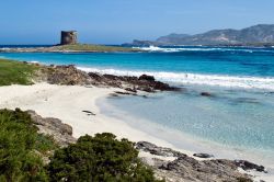 La parte più occidentale della spiaggia bianca di Stintino. E' chiamata la spiaggia della pelosa per la presenza dell'omonima torre rinascimentale, posta a difesa della costa ...