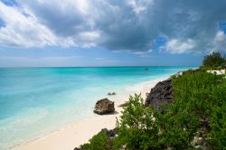 Spiaggia corallina a Zanzibar in Tanzania. L'isola di Unguja offre numerose spiagge da favola, tutte con il comune denominatore di sabbie bianche ed acque turchesi, circondate dal verde ...