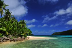 Spiaggia da favola su di una isola dell'arcipelago di Tonga in Polinesia - © Stanislav Fosenbauer / Shutterstock.com