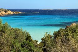 Spiaggia del Principe, la magica baia si trova vicino a Cala di Volpe in Costa Smeralda, nel nord-est della Sardegna - © Ana del Castillo / Shutterstock.com