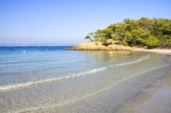 Spiaggia deserta e macchia mediterranea della ...