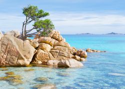La Spiaggia di Capriccioli in Costa Smeralda, un angolo magnifico di Sardegna, non distante da Cala di Volpe - © Gabriele Maltinti / Shutterstock.com