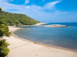 La magnifica spiaggia sabbiosa di Saplunara (baia di Turkovic) sull'isola di Mljet in, Dalmazia nel sud della Croazia - © Aleksandar Todorovic / Shutterstock.com