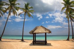 La spiaggia dorata della Playa Punta Cana: siamo nella costa sud-orientale della Repubblica Dominicana, una delle più spettacolari di tutti i caraibi - © piotreknik / Shutterstock.com ...