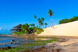 Spiaggia con grande duna di sabbia a Genipabu: siamo nello stato di Rio Grade do Norte in Brasile, non lontano dalla capitale di Natal - © kastianz / Shutterstock.com