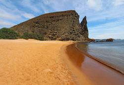 Una bella veduta della spiaggia dell'isola di Bartolomeo, alle Galapagos, con sullo sfondo la famosa roccia a forma di pinnacolo. Grazie al relativo isolamento dal continente e alla grande ...