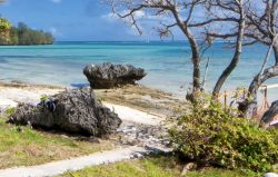 Una bella spiaggia sull'isola principale di Tonga - © Andrea Izzotti / Shutterstock.com