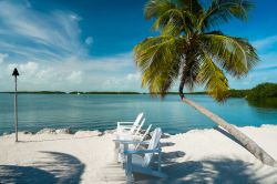 Spiaggia delle isole Keys, Florida - Sabbia bianca ...