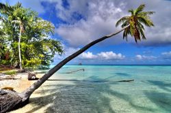 Spiaggia lungo la laguna di Fakarava, presso la Pensione Havaiki