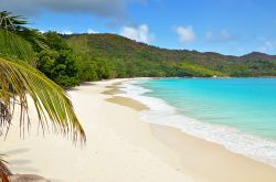 Spiaggia selvaggia a Praslin, la splendida isola dell'arcipelago delle Seychelles - © Oleg Znamenskiy / Shutterstock.com