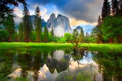 Stagno all'interno della Yosemite Valley: ...