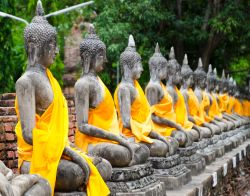 Statueallineate in un tempio ad Ayutthaya - © Wuttichok Painichiwarapun / Shutterstock.com