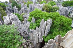 La famosa Lizijing Stone Forest di Kunming: la particolare foresta di pietra del sud della Cina - © Calvin Chan / Shutterstock.com