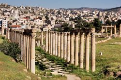 La Strada Colonnata di Gerasa: sullo sfondo la Jerash moderna, la città a 51 km a nord di Amman. in Giordania