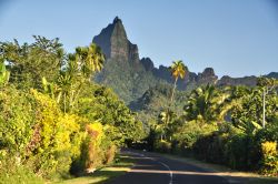 Strada lungo la costa nord di Moorea, in Polinesia francese