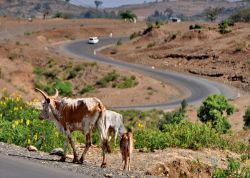 Strada per Gondar,  Etiopia