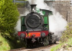 Una locomotiva a vapore lungo la Strathspey Steam Railway, la ferrovia delle Highlands in Scozia - © PHB.cz (Richard Semik) / Shutterstock.com