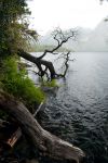 Sullle sponde del Lago Nahuel Huapi vicino a Villa La Angostura in Patagonia, Argentina - © kastianz / Shutterstock.com