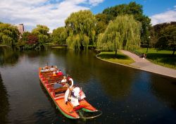 Le Swan Boats di Boston (Massachusetts) sono imbarcazioni da diporto usate nel laghetto del giardino pubblico cittadino sin dal 1877. Funzionano da metà aprile alla fine di settembre ...