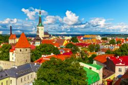 In estate, col cielo limpido, i tetti di Tallinn sono di un rosso brillante e il verde che abbellisce la città appare ancora più fresco: impossibile resistere a una passeggiata ...