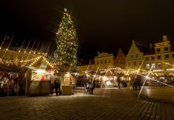 A Natale il centro di Tallinn si riempie di mercatini tradizionali, addobbi luminosi e grandi alberi agghindati a festa - © Risto0 / Shutterstock.com
