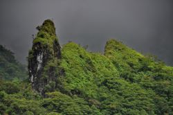 Tempo uggioso a Tahiti sulle rocce vulcaniche dell'interno dell'isola. L'abbondanza di verde su Tahiti è determinata dalle montagne alte più di 2.000 metri dell'interno ...