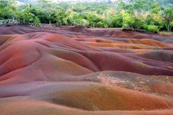 Particolare della Terra dei "sette colori" a Mauritius - Per gli abitanti locali le sfumature di questo lembo di terra recintato, situato nell'entroterra dell'isola, sarebbero ...