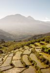 Terrazze per la coltivazione del riso sull' isola di Flores in Indonesia - © pcruciatti / Shutterstock.com