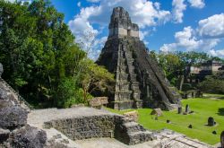 Tikal il sito archeologico Maya ritrovato nella foresta tropicale del Guatenmala - © Simon Dannhauer / Shutterstock.com