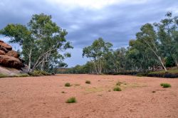 Il Todd River ad Alice Springs,  Australia - Durante la stagione più secca  il fiume si presenta così, completamente asciutto. A luglio qui comunque si svolge una celebre ...