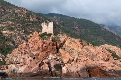 La torre genovese nella Baia di Girolata, in Corsica - La Baia di Girolata si trova nel nord-ovest della Corsica, tra i Calanchi di Piana e Calvi.  Nonostante sia raggiungibile solo con ...