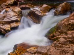 Torrente all'inzio della cascate Wanui: ci troviamo nel Parco Nazionale di Abel Tasman (New Zealand) - © CreativeNature.nl / Shutterstock.com